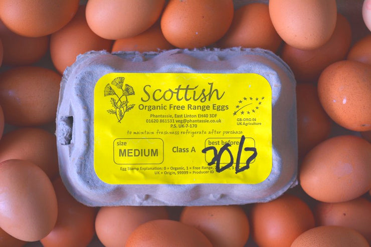 6 Scottish Organic Eggs - Weekly Subscription